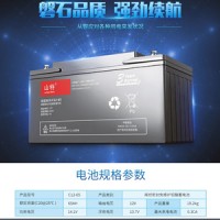 山特蓄電池12V100AH城堡C12-100鉛酸免維護監控